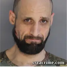Christopher Pardue booking photo