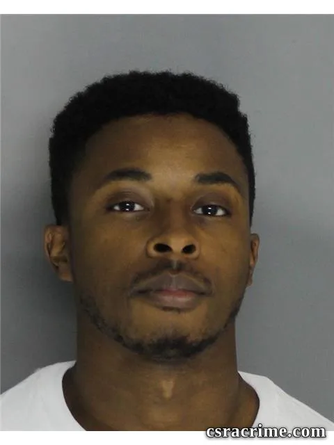 Christopher Williams booking photo