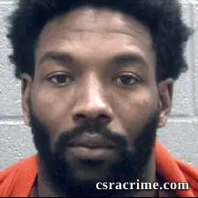 Christopher Williams booking photo
