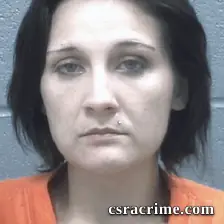 Christy Goetzman booking photo