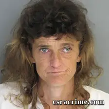 Christy Stone booking photo