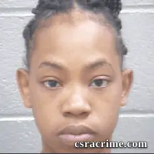 Ciara Cook booking photo