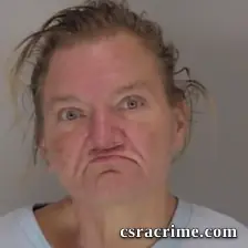 Cindy Eleene Reese booking photo