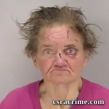 Cindy Eleene Reese booking photo