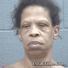 Cindy Johnson booking photo