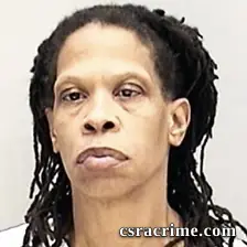 Cindy Johnson booking photo