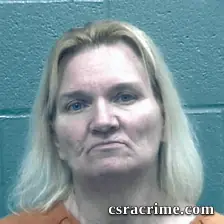 Cindy Reese booking photo