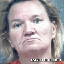 Cindy Reese booking photo