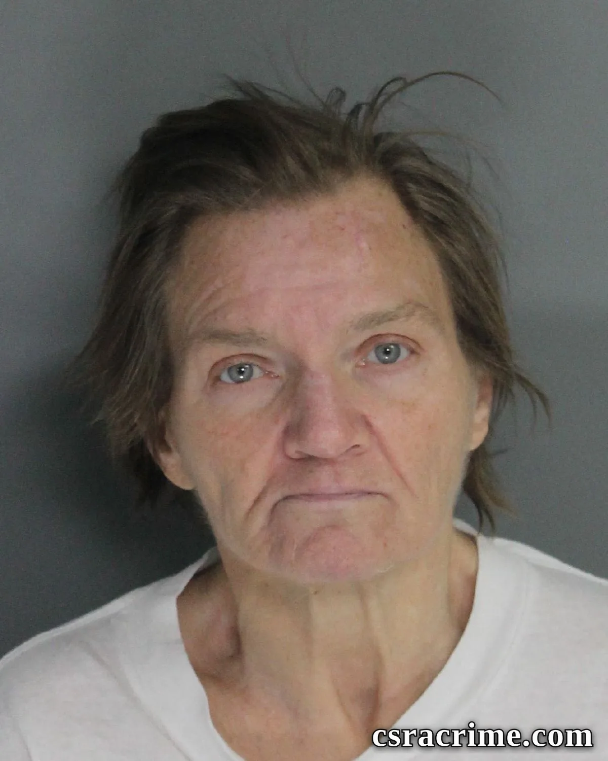Cindy Reese booking photo