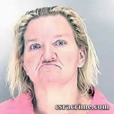 Cindy Reese booking photo