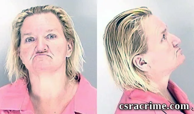 Cindy Reese booking photo
