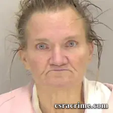 Cindy Reese booking photo