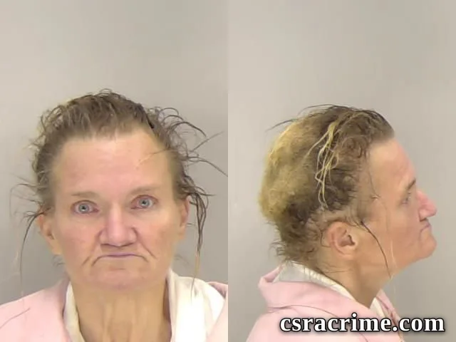 Cindy Reese booking photo