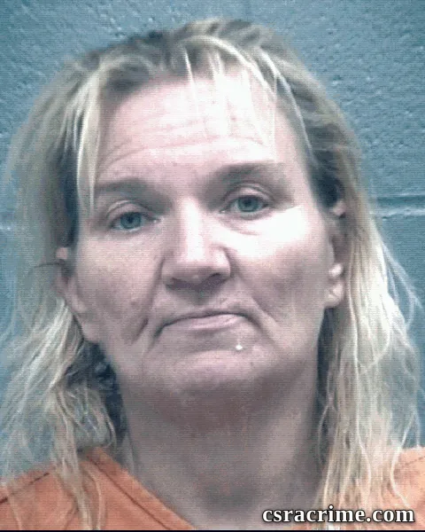 Cindy Reese booking photo