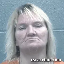 Cindy Reese booking photo
