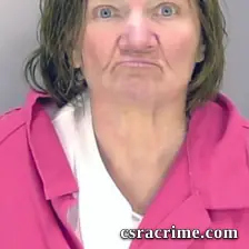 Cindy Reese booking photo