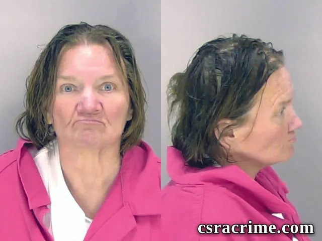 Cindy Reese booking photo