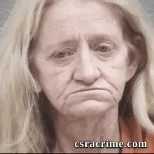 Cindy Schlichting booking photo