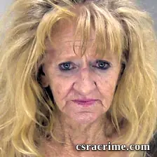 Cindy Schlichting booking photo