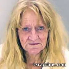 Cindy Schlichting booking photo
