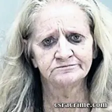 Cindy Schlichting booking photo