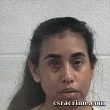 Claudia Mendiola Mercado booking photo
