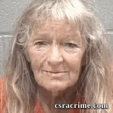 Claudia Quillian Snyder booking photo