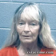 Claudia Snyder booking photo