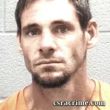 Cliff Palagyi booking photo