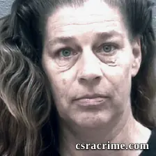 Colleen Visser booking photo