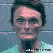 Collette Berg booking photo