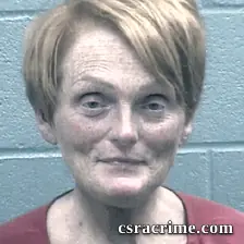 Collette Berg booking photo