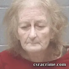 Connie Akins booking photo