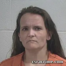 Connie Lynn Hall booking photo