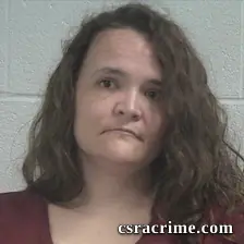 Connie Lynn Stamey booking photo