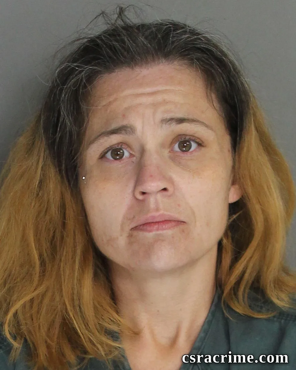 Connie Mikell booking photo
