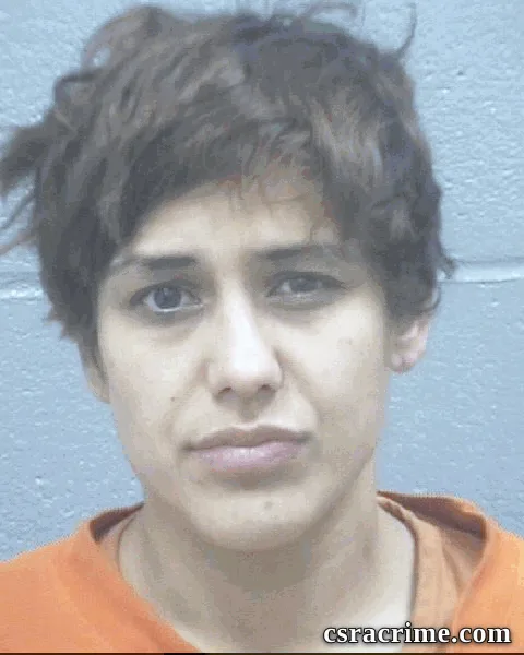 Constance Williamson booking photo