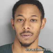 Corrin Cannon booking photo