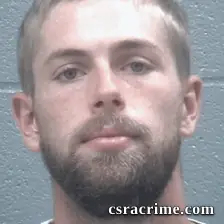 Costner Palmer booking photo