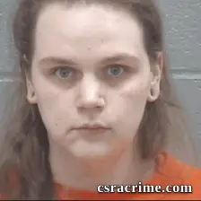 Courtney Hodgkins booking photo