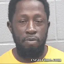 Courtney Ross booking photo