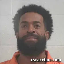 Courtney Termel Lowman booking photo