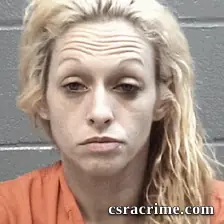 Cristine Anderson booking photo
