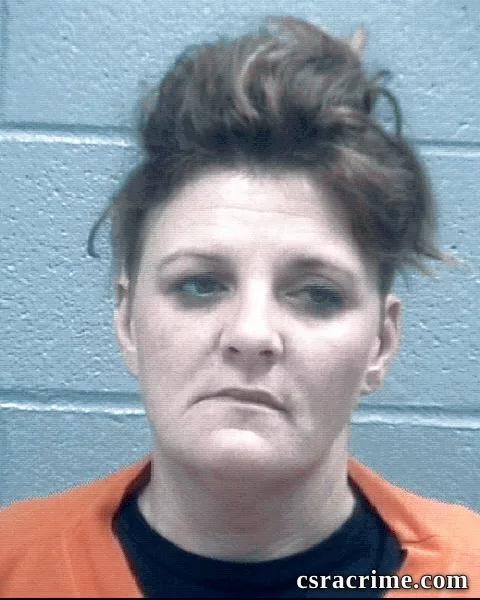 Crystal Holley booking photo