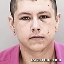 Crystal Steel booking photo