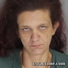 Crystal Williams booking photo