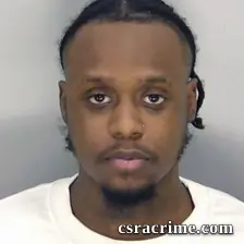 Cua Sean Young booking photo