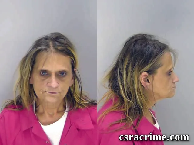 Cynthia Adams booking photo