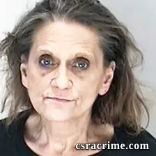 Cynthia Adams booking photo