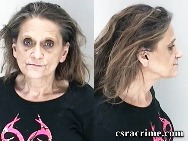Cynthia Adams booking photo